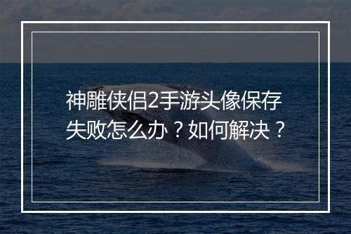 神雕侠侣2手游头像保存失败怎么办？如何解决？