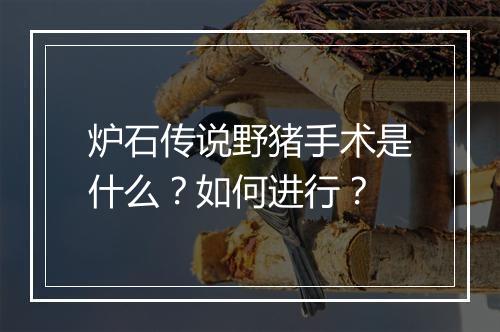 炉石传说野猪手术是什么?如何进行?