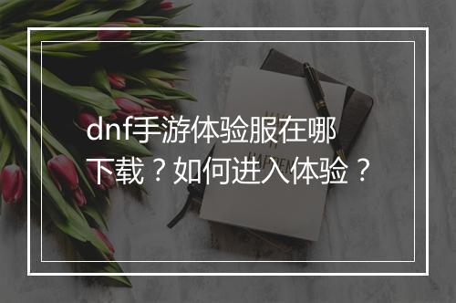 dnf手游体验服在哪下载?如何进入体验?