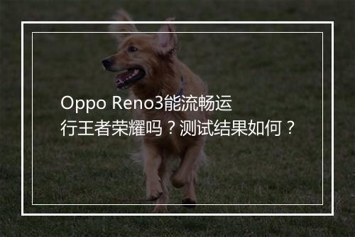 Oppo Reno3能流畅运行王者荣耀吗？测试结果如何？