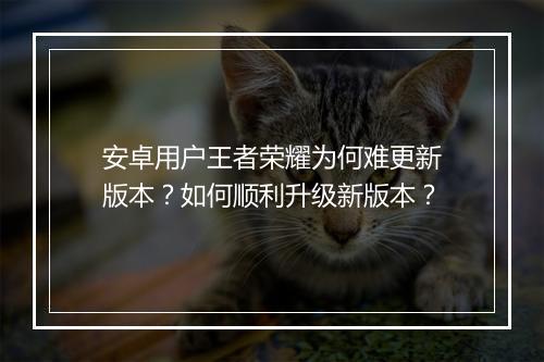 安卓用户王者荣耀为何难更新版本?如何顺利升级新版本?