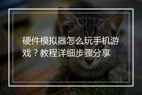 硬件模拟器怎么玩手机游戏？教程详细步骤分享