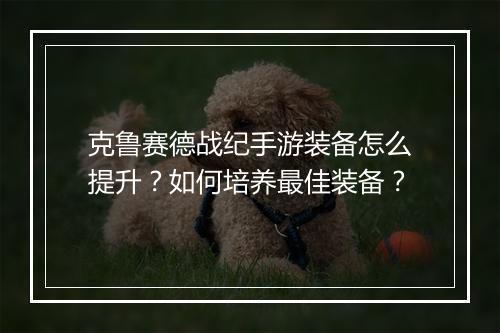 克鲁赛德战纪手游装备怎么提升?如何培养最佳装备?