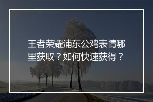 王者荣耀浦东公鸡表情哪里获取?如何快速获得?