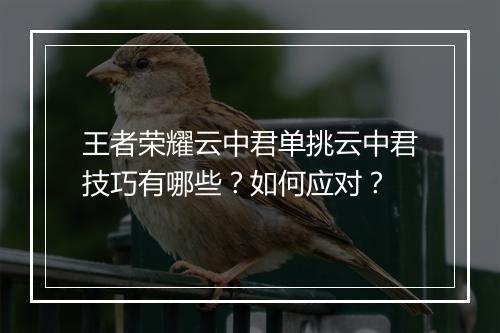 王者荣耀云中君单挑云中君技巧有哪些？如何应对？