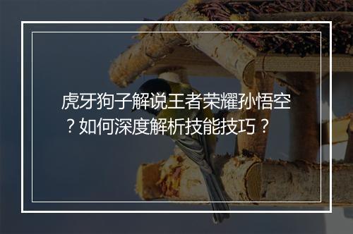 虎牙狗子解说王者荣耀孙悟空?如何深度解析技能技巧?