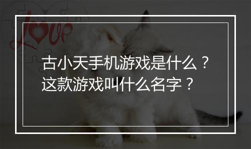 古小天手机游戏是什么？这款游戏叫什么名字？