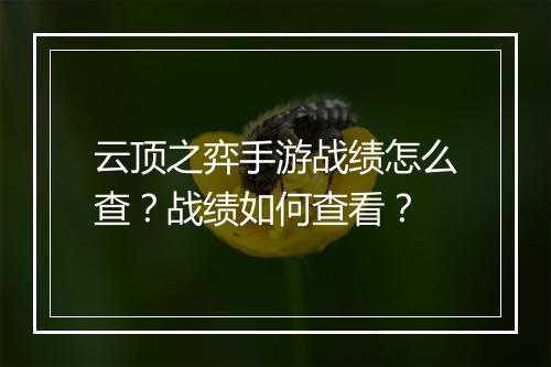 云顶之弈手游战绩怎么查?战绩如何查看?