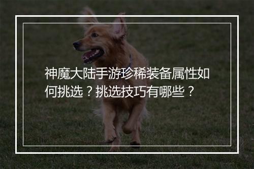 神魔大陆手游珍稀装备属性如何挑选?挑选技巧有哪些?