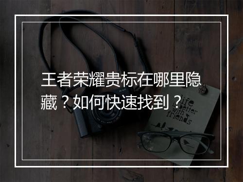 王者荣耀贵标在哪里隐藏?如何快速找到?