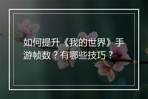 如何提升《我的世界》手游帧数?有哪些技巧?