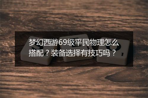 梦幻西游69级平民物理怎么搭配?装备选择有技巧吗?