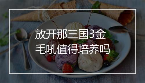 放开那三国3金毛吼值得培养吗