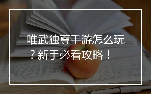 唯武独尊手游怎么玩？新手必看攻略！