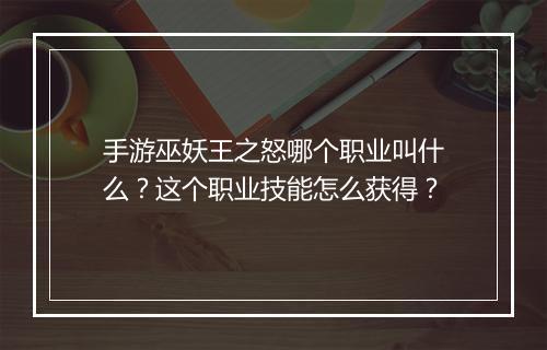 手游巫妖王之怒哪个职业叫什么?这个职业技能怎么获得?