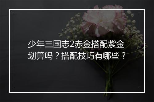 少年三国志2赤金搭配紫金划算吗?搭配技巧有哪些?