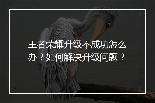 王者荣耀升级不成功怎么办?如何解决升级问题?
