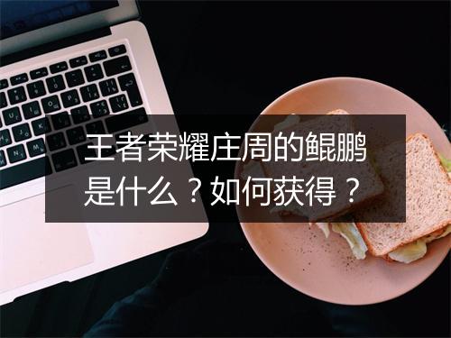 王者荣耀庄周的鲲鹏是什么？如何获得？