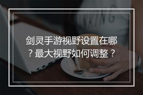 剑灵手游视野设置在哪？最大视野如何调整？