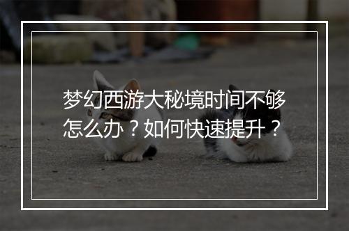 梦幻西游大秘境时间不够怎么办?如何快速提升?