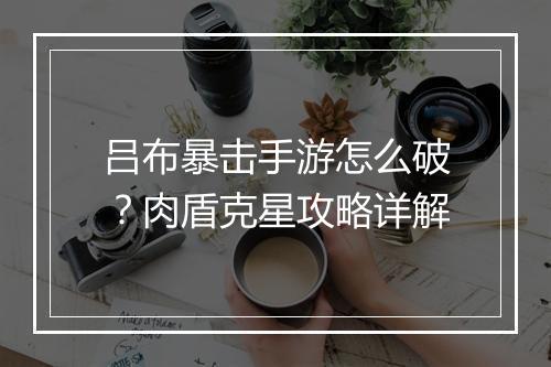 吕布暴击手游怎么破?肉盾克星攻略详解