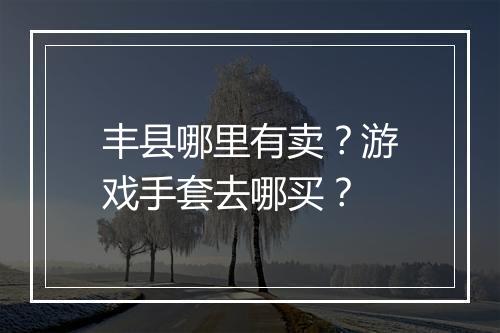 丰县哪里有卖?游戏手套去哪买?