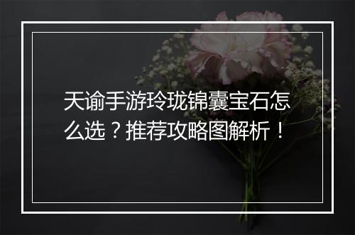 天谕手游玲珑锦囊宝石怎么选?推荐攻略图解析!