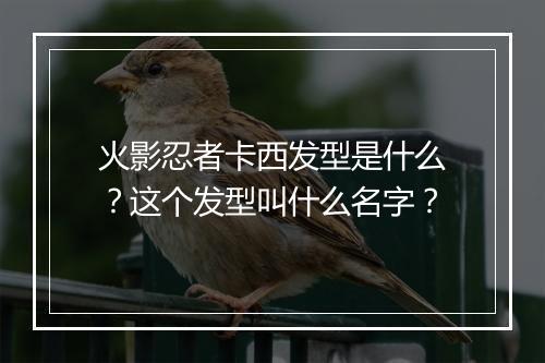 火影忍者卡西发型是什么?这个发型叫什么名字?