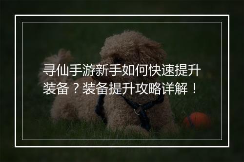 寻仙手游新手如何快速提升装备?装备提升攻略详解!