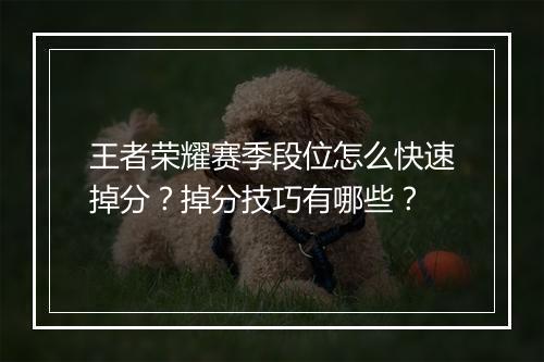 王者荣耀赛季段位怎么快速掉分？掉分技巧有哪些？