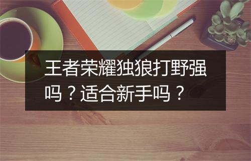 王者荣耀独狼打野强吗？适合新手吗？