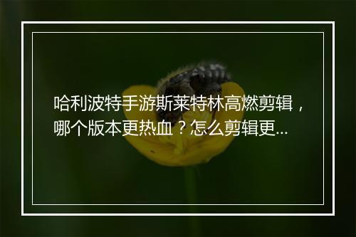哈利波特手游斯莱特林高燃剪辑，哪个版本更热血？怎么剪辑更精彩？