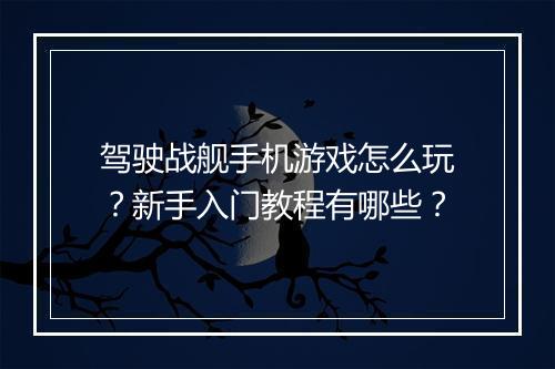 驾驶战舰手机游戏怎么玩？新手入门教程有哪些？