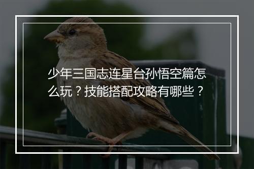 少年三国志连星台孙悟空篇怎么玩?技能搭配攻略有哪些?