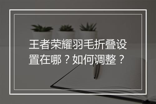 王者荣耀羽毛折叠设置在哪?如何调整?