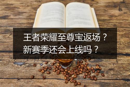 王者荣耀至尊宝返场？新赛季还会上线吗？