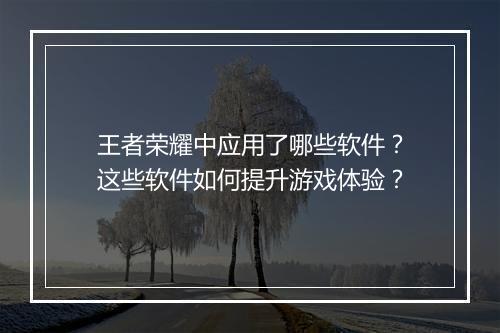 王者荣耀中应用了哪些软件?这些软件如何提升游戏体验?