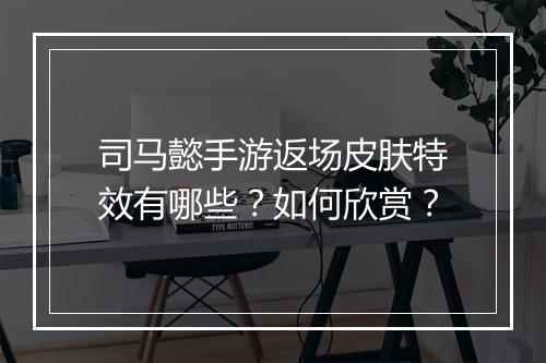 司马懿手游返场皮肤特效有哪些?如何欣赏?