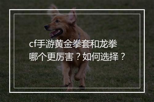 cf手游黄金拳套和龙拳哪个更厉害？如何选择？