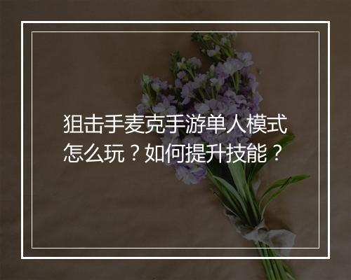 狙击手麦克手游单人模式怎么玩?如何提升技能?