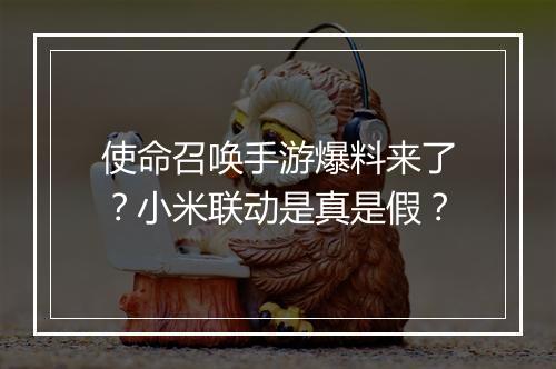 使命召唤手游爆料来了?小米联动是真是假?