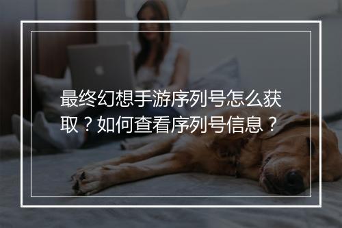 最终幻想手游序列号怎么获取?如何查看序列号信息?