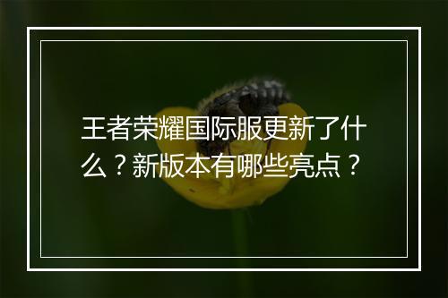 王者荣耀国际服更新了什么？新版本有哪些亮点？