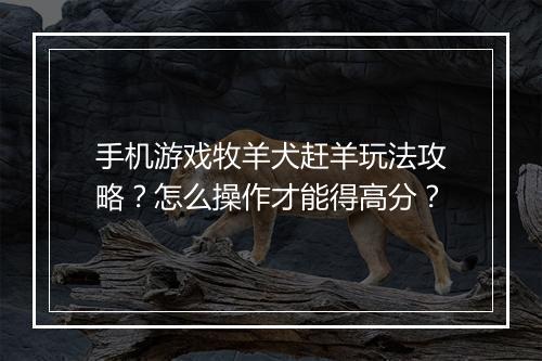 手机游戏牧羊犬赶羊玩法攻略?怎么操作才能得高分?