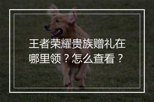 王者荣耀贵族赠礼在哪里领？怎么查看？
