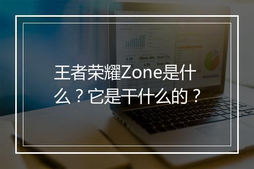 王者荣耀Zone是什么？它是干什么的？