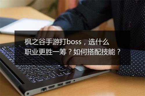 枫之谷手游打boss,选什么职业更胜一筹?如何搭配技能?