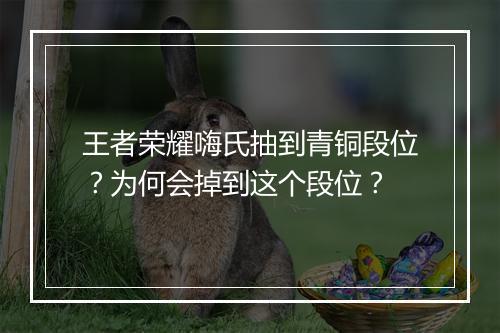 王者荣耀嗨氏抽到青铜段位？为何会掉到这个段位？