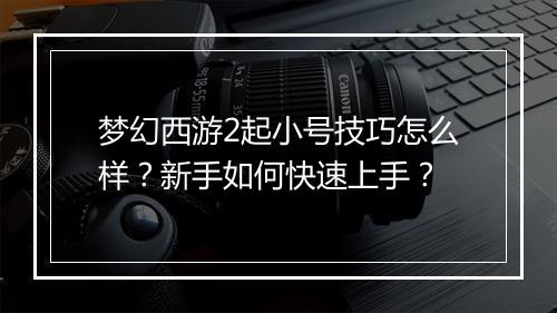 梦幻西游2起小号技巧怎么样？新手如何快速上手？