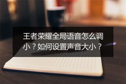 王者荣耀全局语音怎么调小?如何设置声音大小?